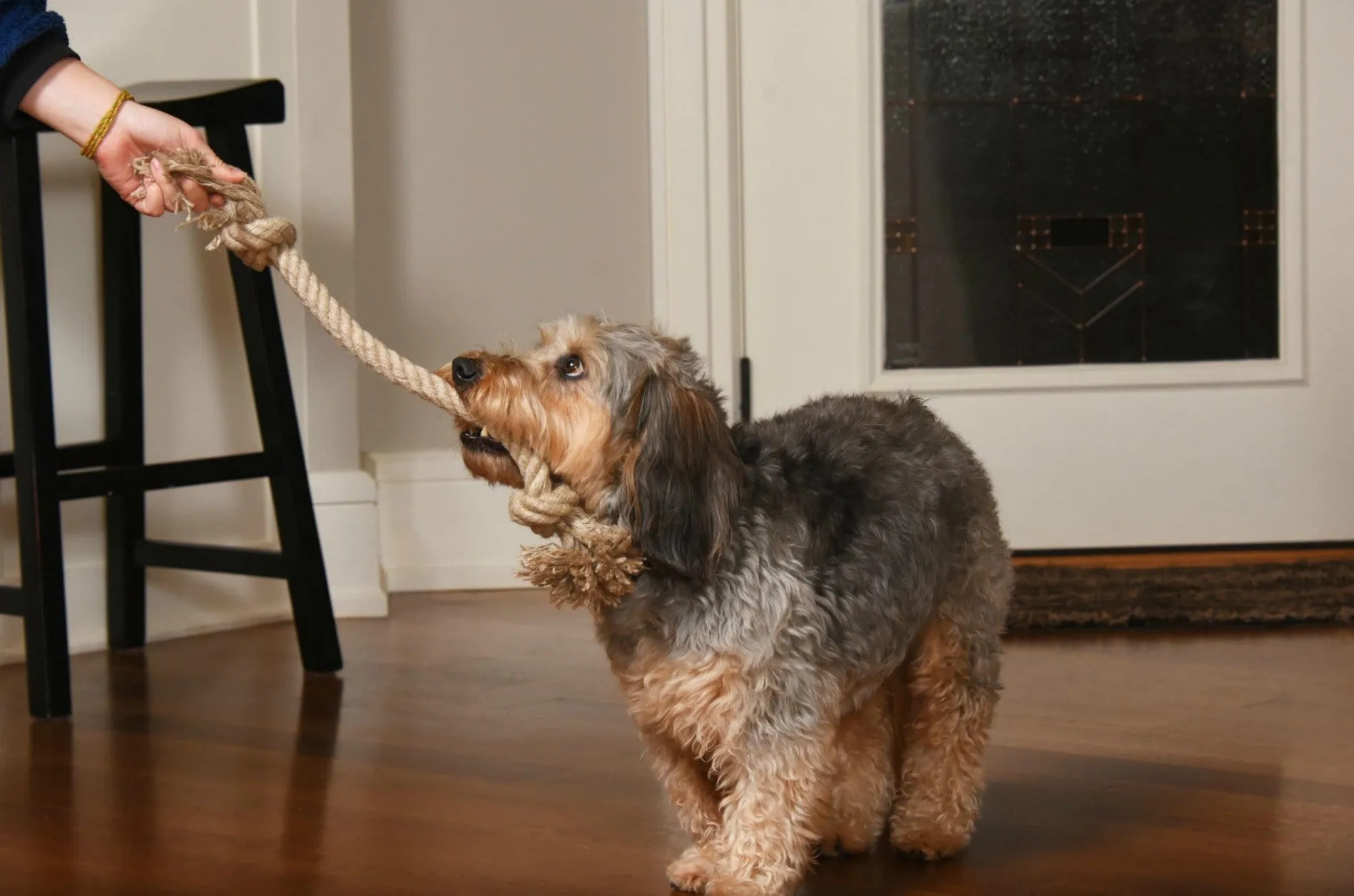 Hemp Rope Dog Toy